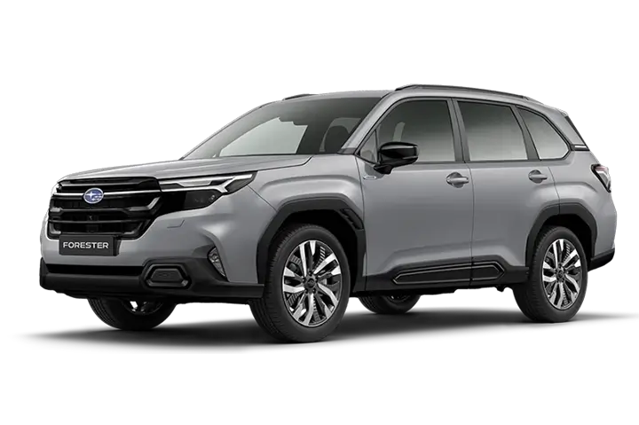 forester_modelimage